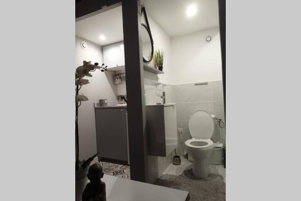 Studio Cosy Lägenhet Avignon Exteriör bild